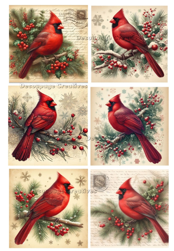 Six red cardinal birds on pine and berry branches. Decoupage Paper Designs A4 rice paper.