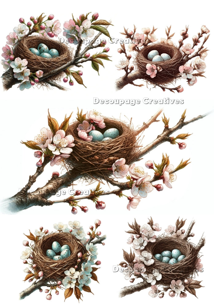 nests with eggs in a branch with flowers decoupage paper by Decoupage  Creatives