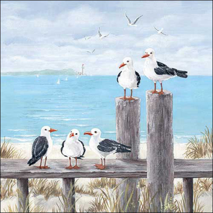white and black seagulls on wood  boardwalks at the sea  Decoupage Napkins