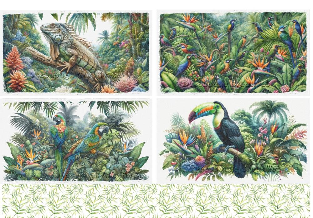 four scenes of color tropical birds and iguana in the jungle decoupage paper by Decoupage Creatives