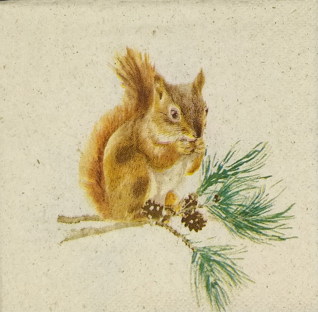 Brown squirrel on pine grass with brown pinecones and green sprigs Decoupage napkins