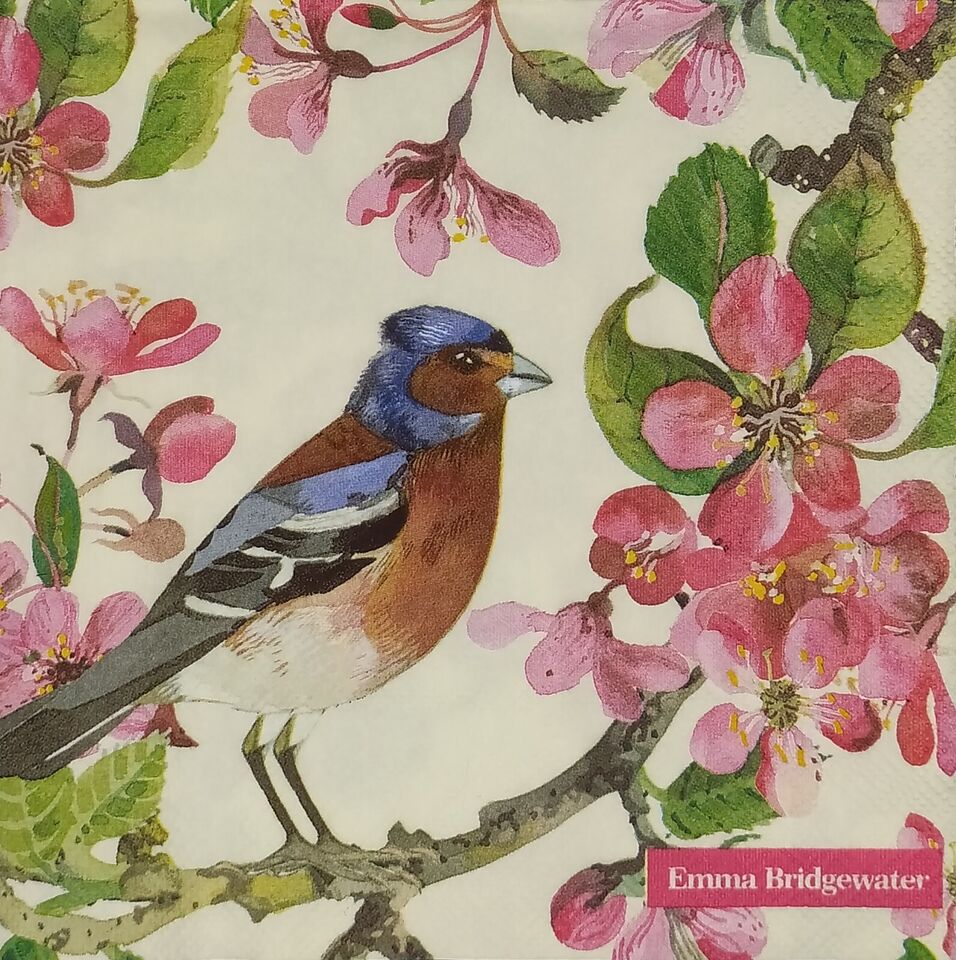 blue bird on cherry blossoms branch  Decoupage Napkins