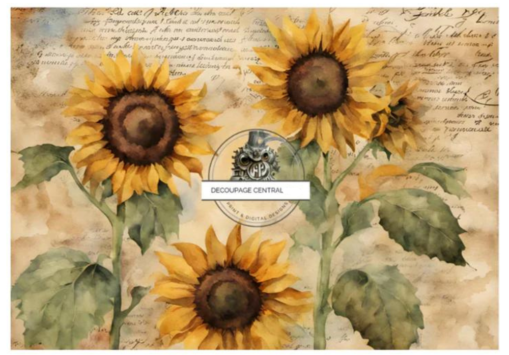 3 large sunflowers on vintage text. A4 size Decoupage Paper from Decoupage Central for DIY Crafts and mixed media art.