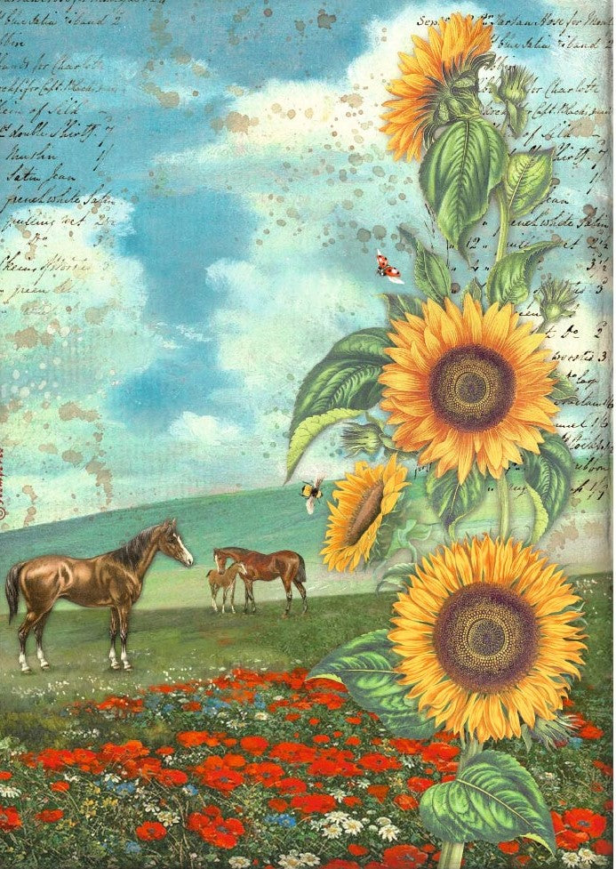 Brown horses on green hill with red flowers with Sunflower border and light script Stamperia A4 Rice Paper for Decoupage