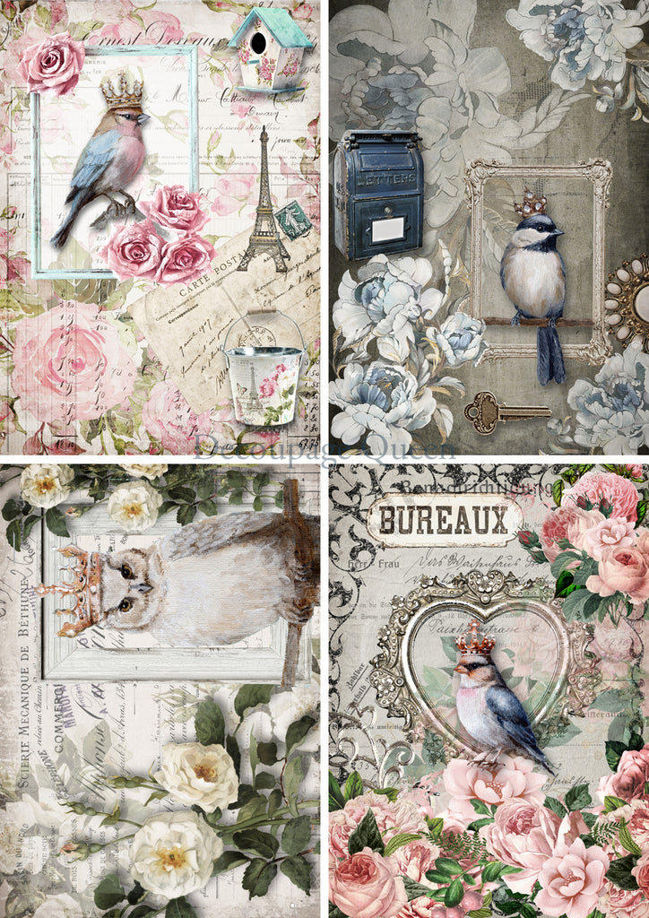 birds and owls in crowns posing in frames Decoupage  Queen Rice Paper