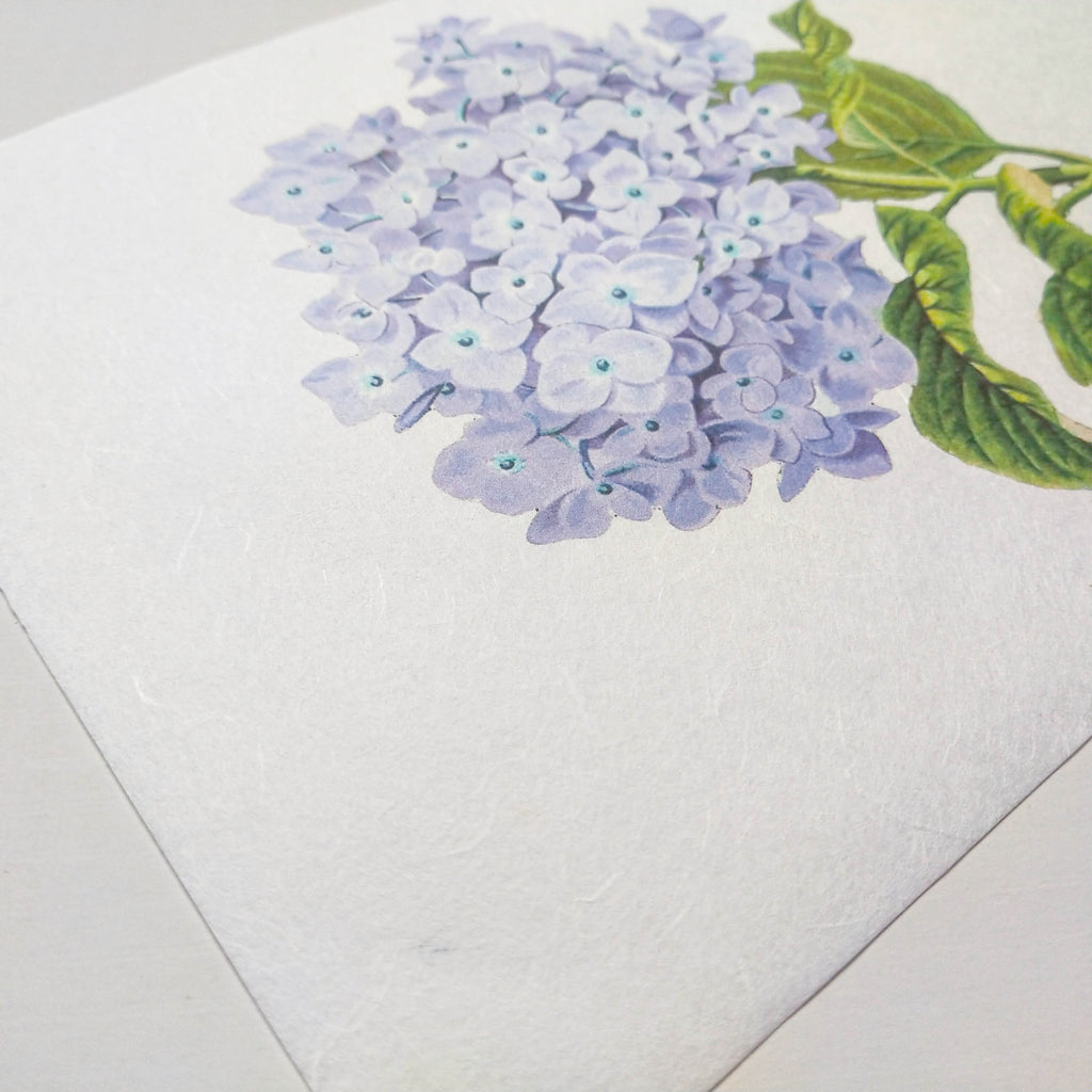 picture of white printable decoupage rice paper from KOZO with blue hydrangea being printed.