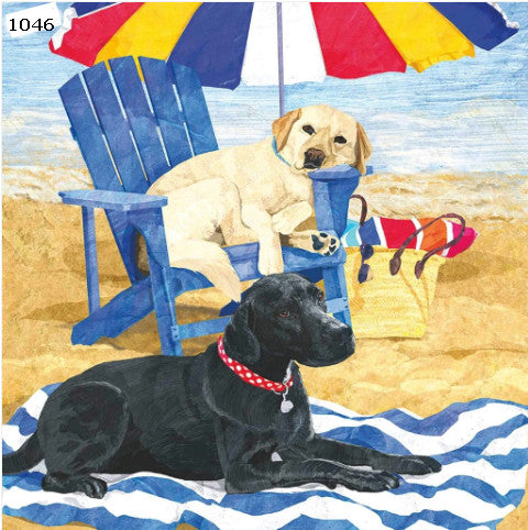 Beach Dogs #3367