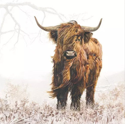 These Highlander Cow Decoupage Paper Napkins are of exceptional quality. Imported from Europe.  3-ply. Ideal for Decoupage Crafting, DIY craft projects, Scrapbooking