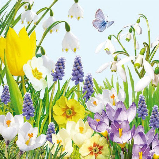 These Easter Spring Time Decoupage Paper Napkins are exceptional quality. Imported from Europe. 3-ply. Ideal for Decoupage Crafting, DIY craft projects, Scrapbooking