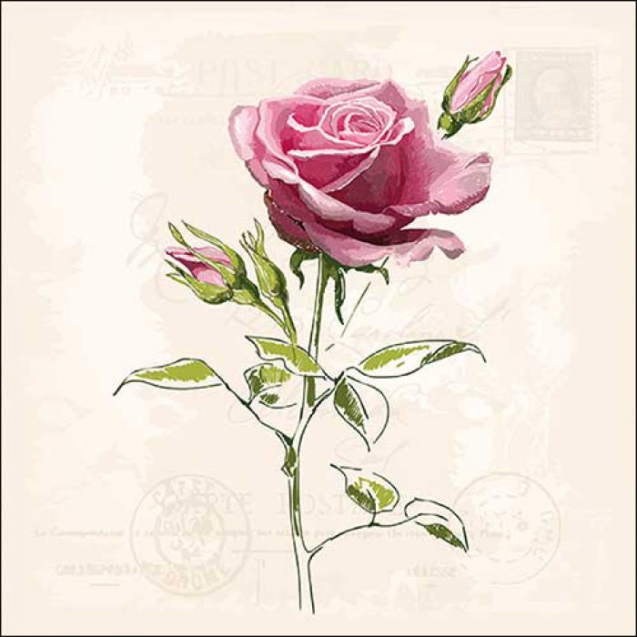 These Vintage Rose European Decoupage Paper Napkins are of exceptional quality. 3 ply. Ideal Decoupage craft paper for Scrapbooking