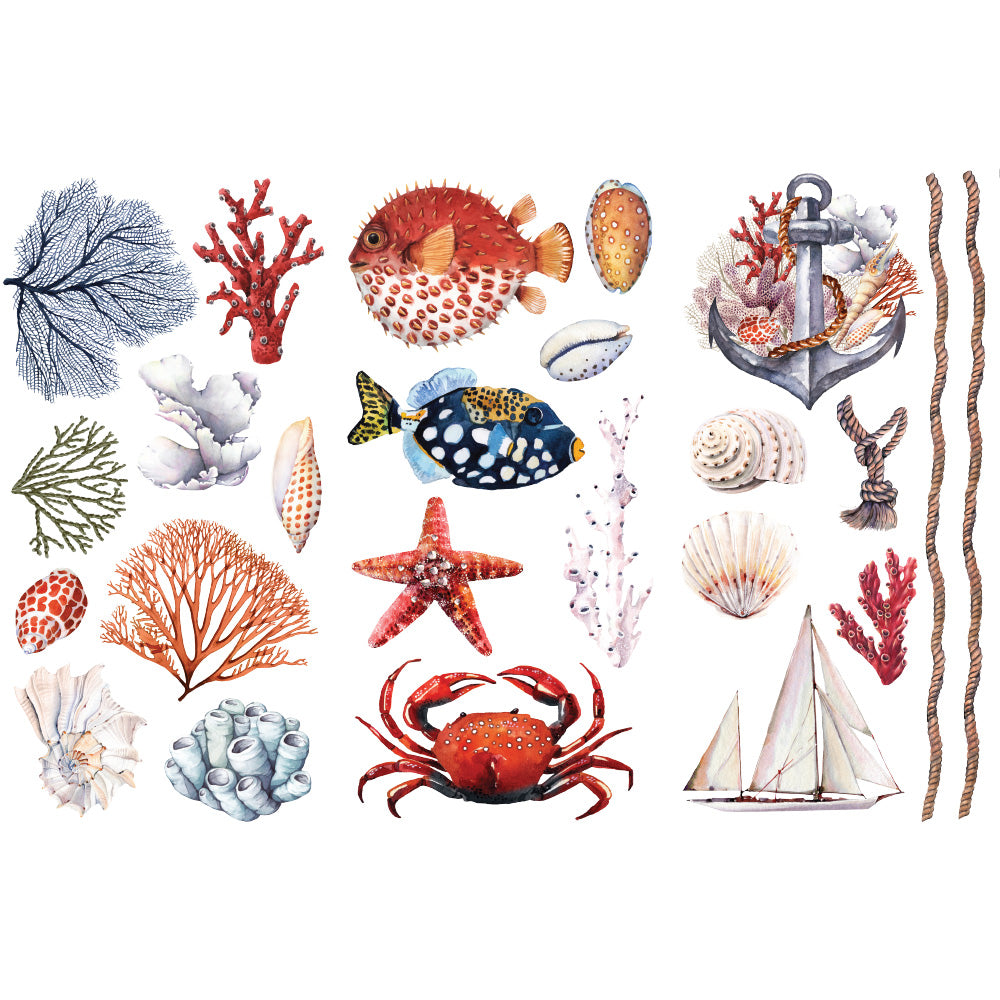 Shop Amazing Sea Life ReDesign with Prima Rub on Transfer with Coral, Shells, Fish, Nautical 