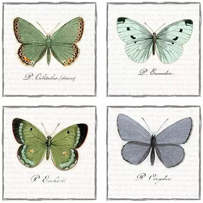 These Big Butterflies Vintage Decoupage Paper Napkins are of exceptional quality and imported from Europe. Ideal for Decoupage Crafting, DIY craft projects, Scrapbooking