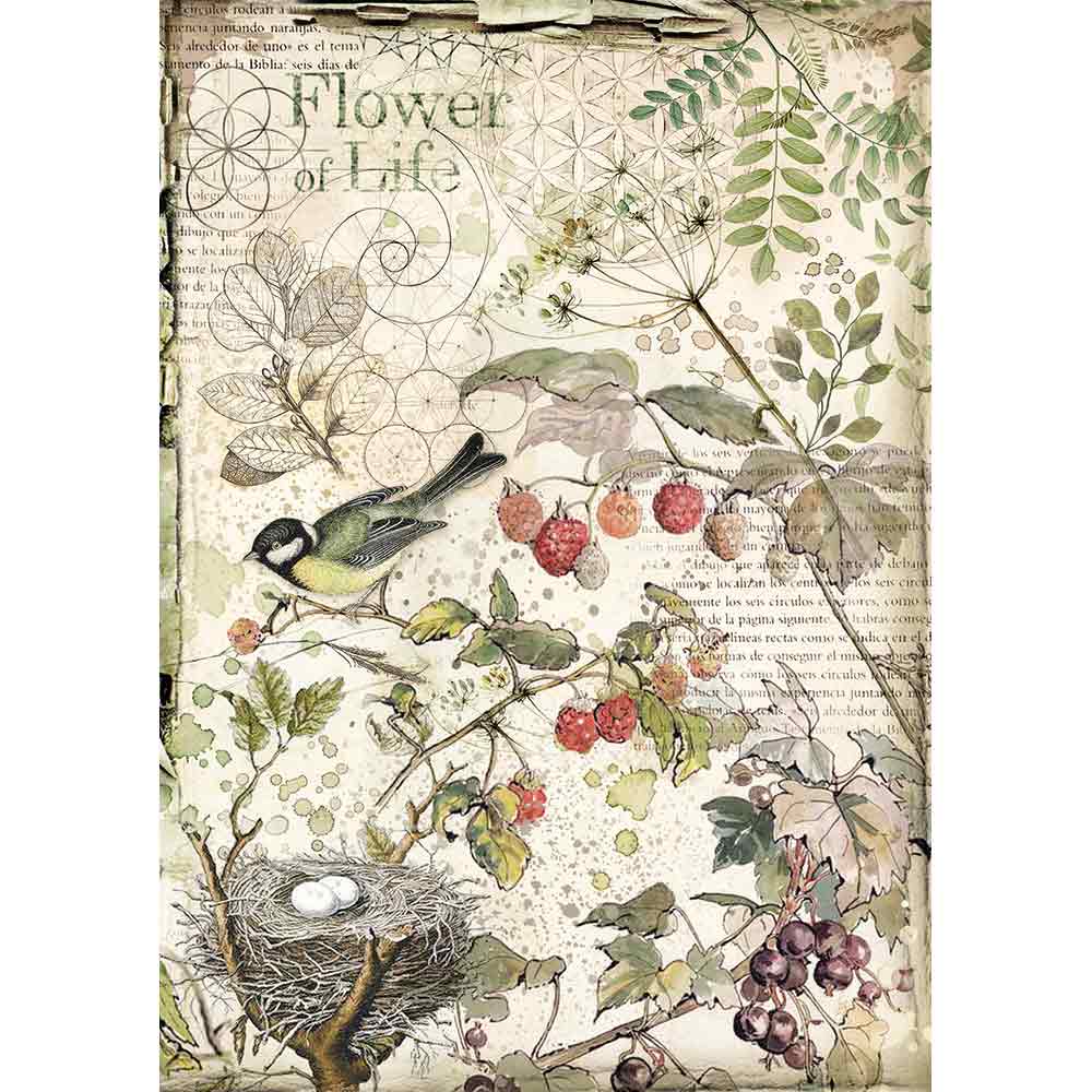 Shop Beautiful Forest Bird and Leaves Stamperia Rice Paper for Crafting, Scrapbooking, Journaling, Cardmaking