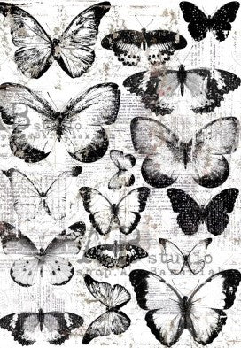 black and white butterflies AB Studio Rice Papers