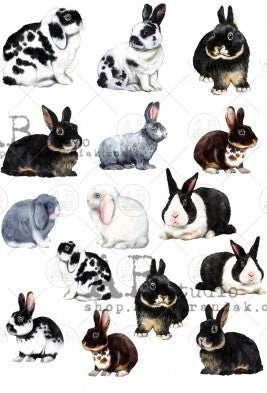 bunnies AB Studio Rice Papers