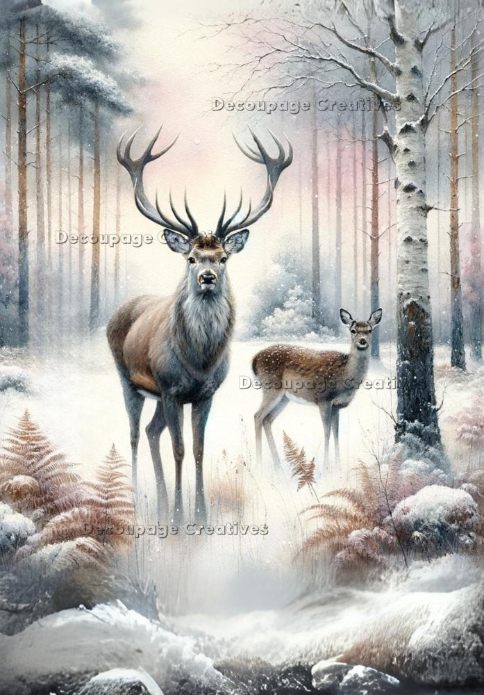 Two deer in snowy winter forest scene. Decoupage Paper Designs A4 rice paper.
