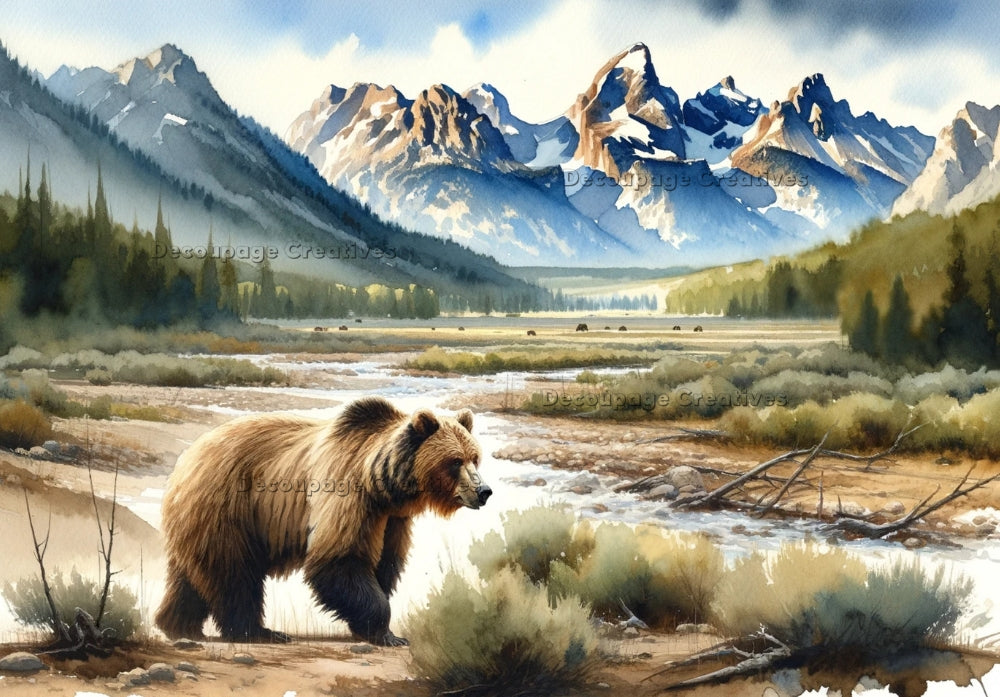 Grizzly bear by stream in Yellowstone valley. Decoupage Paper Designs A4 rice paper.