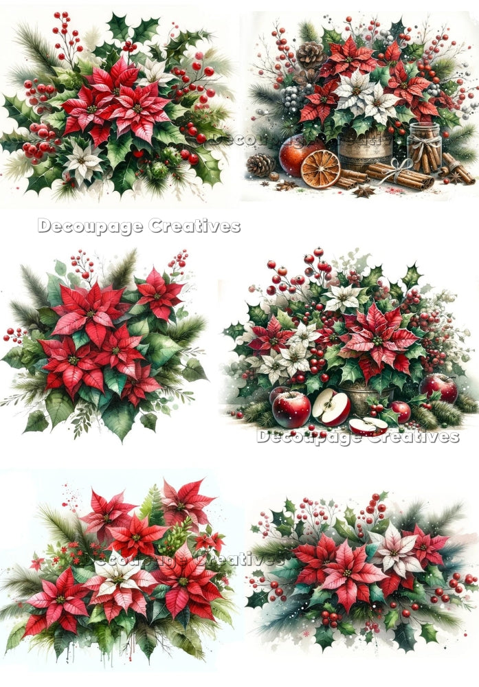 Six scenes of poinsettia flower bunches with fruit, holly, cinnamon and pine. Decoupage Paper Designs A4 rice paper.