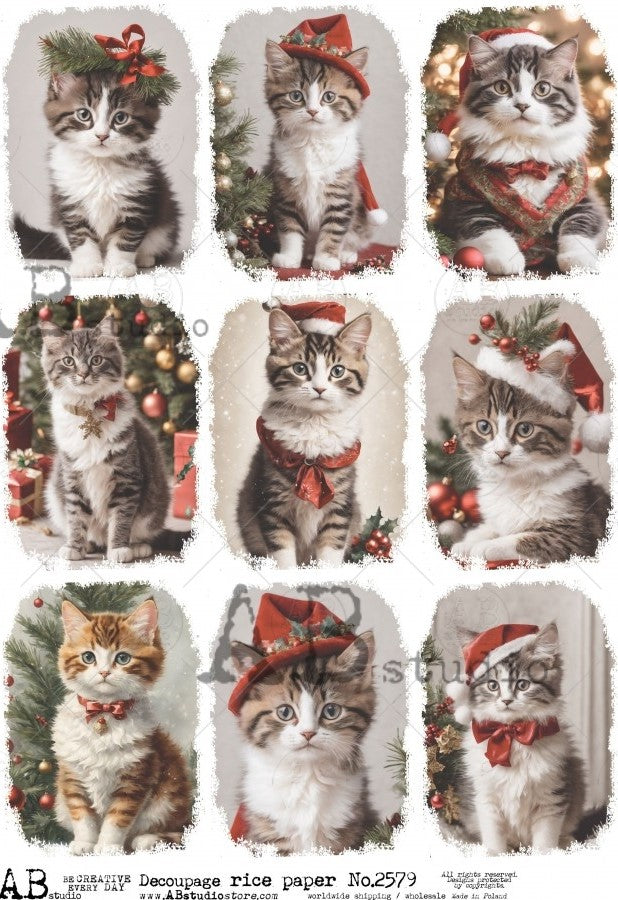 kittens in Christmas hats and red ribbons and Christmas trees  AB Studio Rice Papers