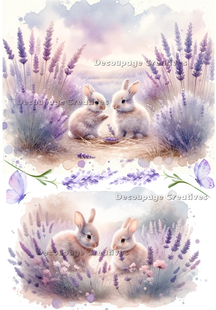 Two images of young bunnies in a field of lavender. A4 Decoupage Paper for Craft making.