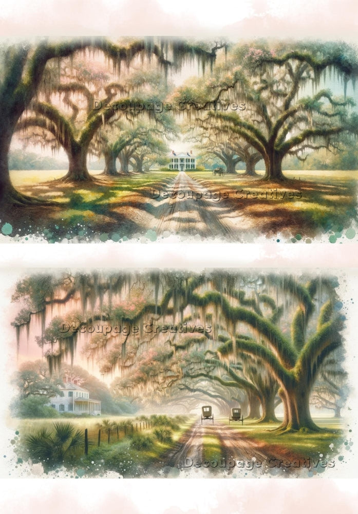 Two images of Southern plantations with large oaks, spanish moss and vintage cars. A4 Decoupage Paper for Craft making.