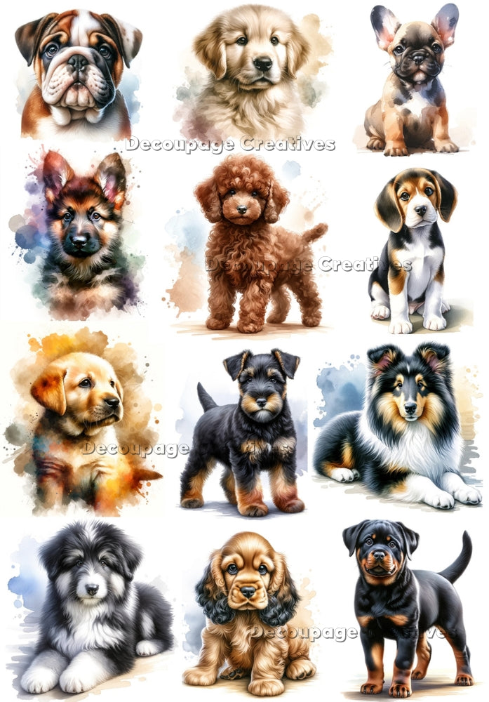 Twelve images of different puppy dogs. A4 Decoupage Paper for Craft making.