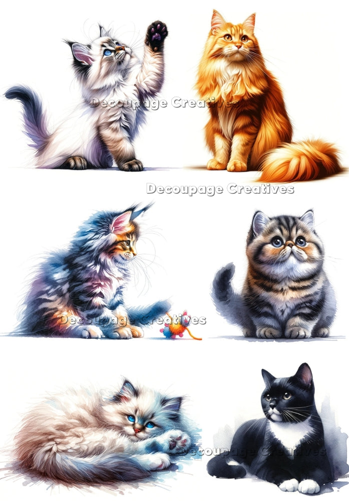 Six images of different cats. A4 Decoupage Paper for Craft making.