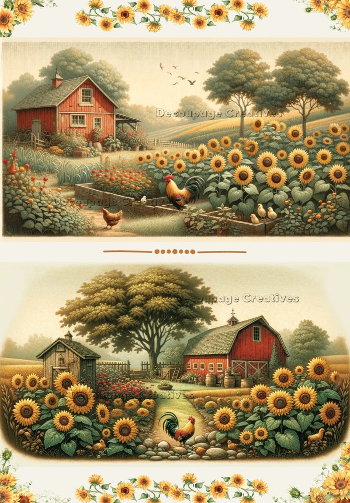 Two images of golden farm with rooster, hen and sunflowers with red barn. A4 Decoupage Paper for Craft making.