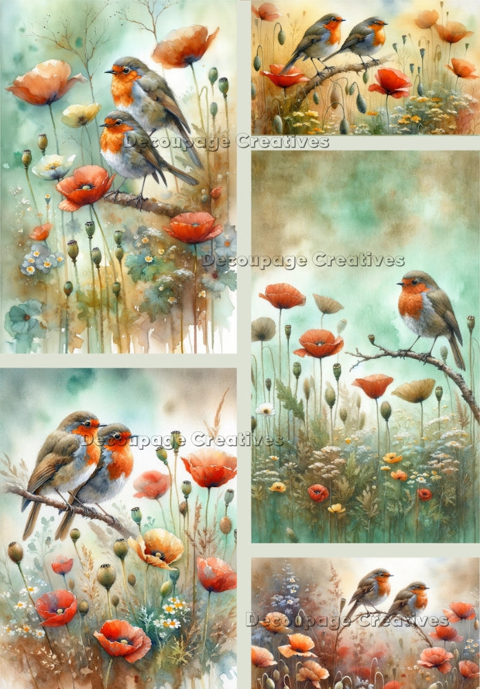 Five images of Robins on branch in poppy field. A4 Decoupage Paper for Craft making.