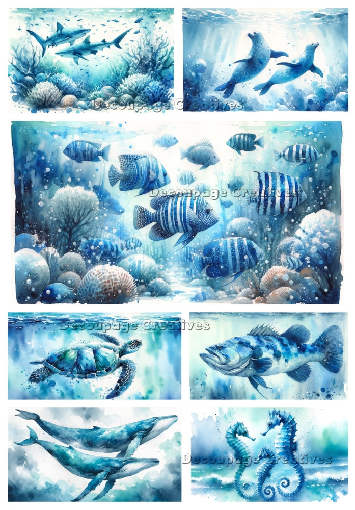 Multiple scenes of blue and white fish, turtle, seahorse, seals, sharks. A4 Decoupage Paper for Craft making.
