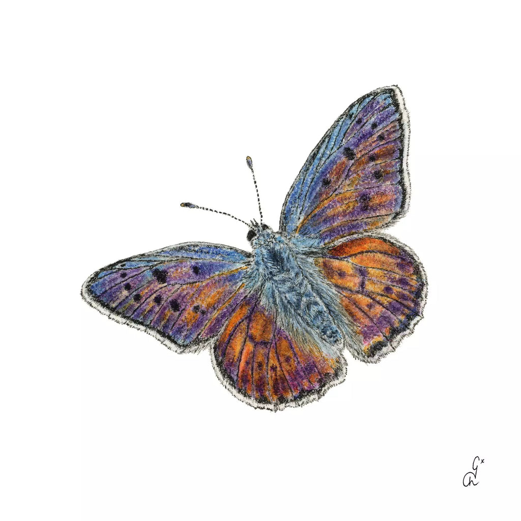 purple blue and orange butterfly on white background Decorative Paper Napkin for Decoupage Mixed Media, Scrapbooking