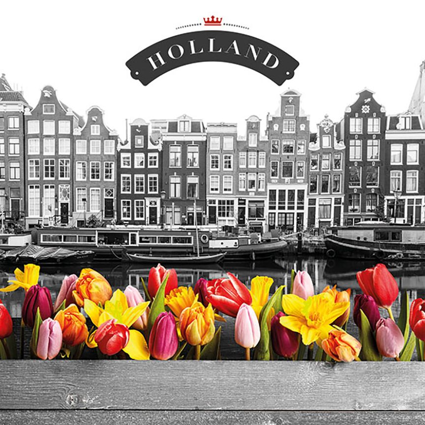 tulips on a river town in Holland Decoupage Craft Paper Napkin for Mixed Media, Scrapbooking