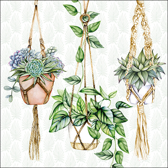hanging plants with succulents and green vines Decoupage Craft Paper Napkin for Mixed Media, Scrapbooking