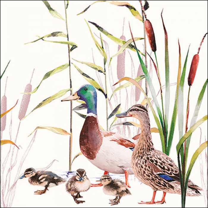 duck family in cattails on white Decoupage Craft Paper Napkin for Mixed Media, Scrapbooking