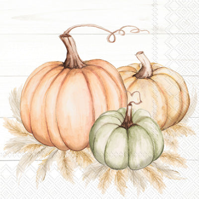 orange, yellow and green pumpkins on white Decoupage Craft Paper Napkin for Mixed Media, Scrapbooking