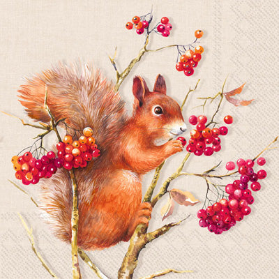 brown squirrel  with red berries on cream Decoupage Craft Paper Napkin for Mixed Media, Scrapbooking