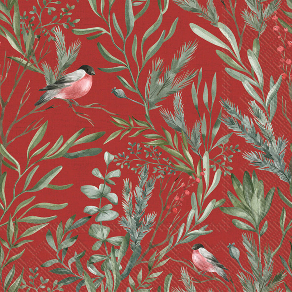 red robin on green branches on red  Decoupage Napkin