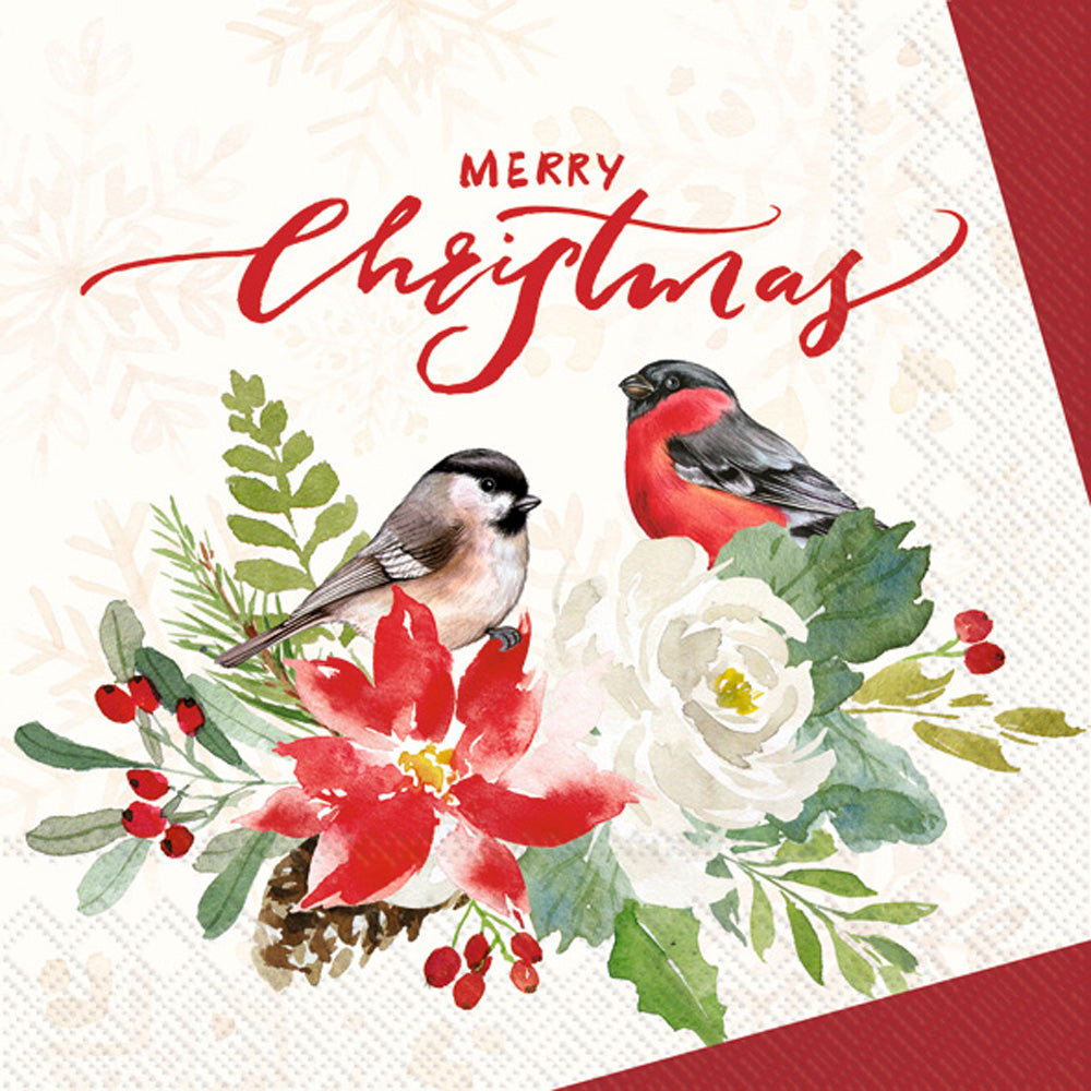 Red robin and white belly bird on holly bow with white flower Christmas saying  Decoupage Napkin