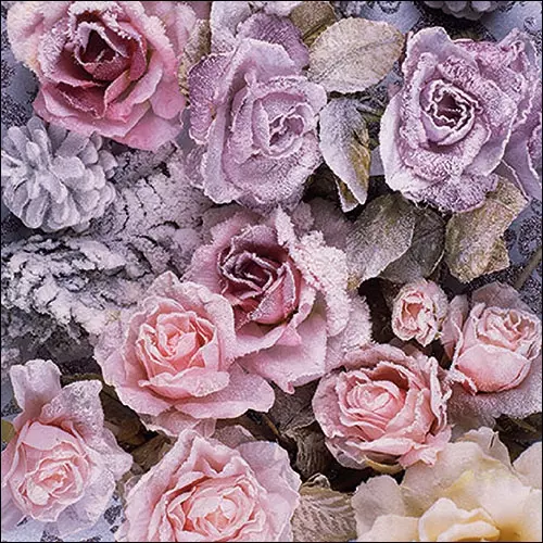 Vintage Grey and Pink Rose Floral Wallpaper 