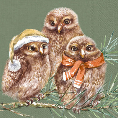 3 owls on branch with scarf, hat. Quality European Decoupage Decorative Craft Paper Napkins. 3 ply. Ideal for Collage, Scrapbooking.