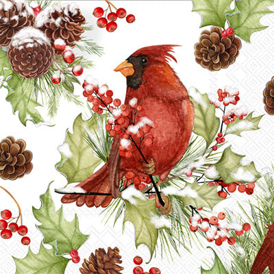 Red cardinal on branch with pine cones Quality European Decoupage Decorative Craft Paper Napkins. 3 ply. Ideal for Collage, Scrapbooking.