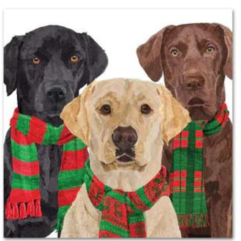 3 Labrador dogs in scarves. Decoupage decorative napkin for crafting scrapbooking cardmaking.