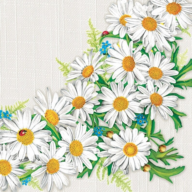 Daisy floral pattern. European Decoupage Craft Paper Napkins of exceptional quality. 3 ply. Ideal decorative craft paper Decoupage