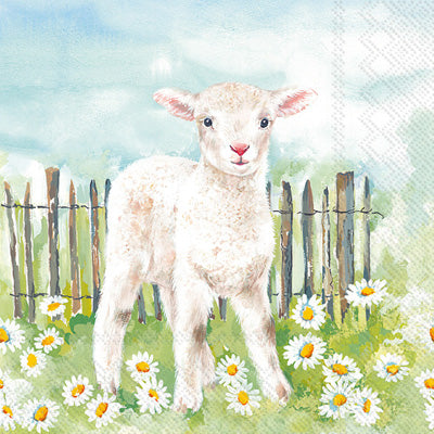 White lamb in field of white and yellow daisies, in front of fence. European Decoupage Craft Paper Napkins.