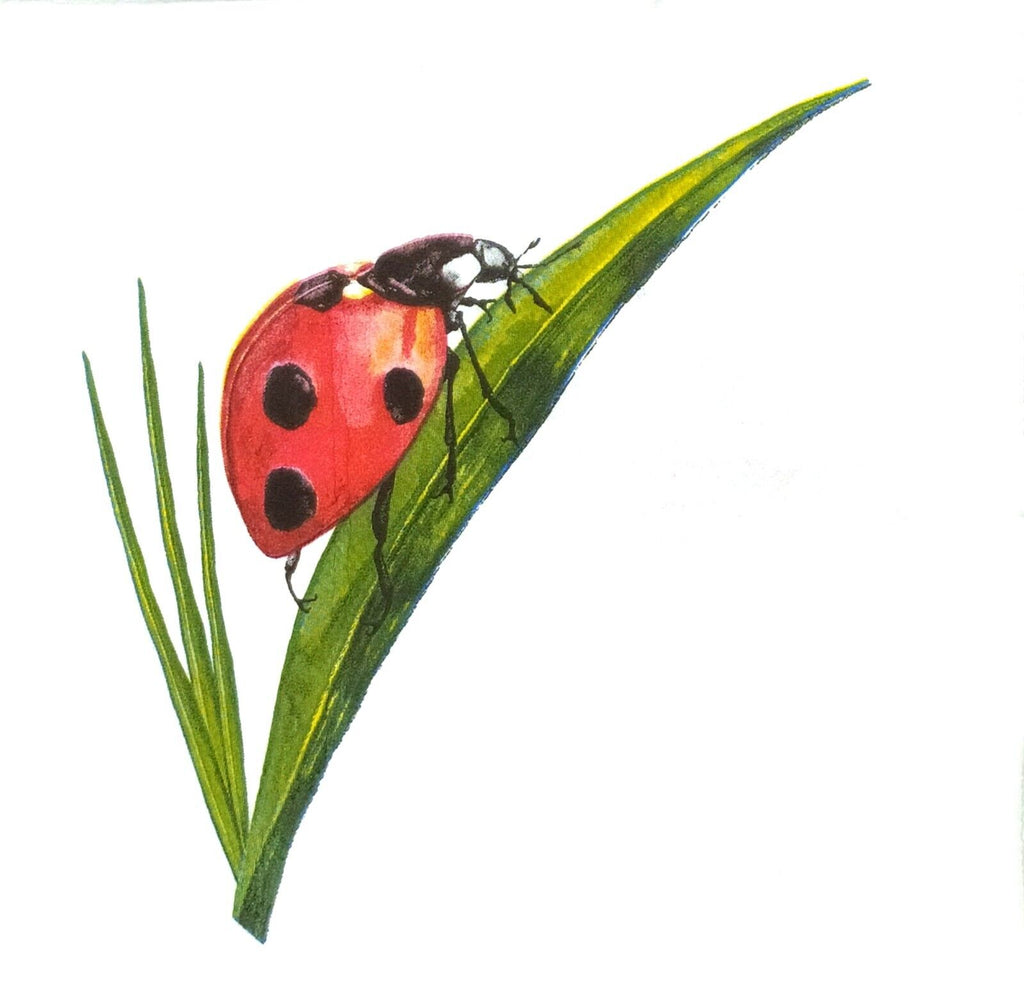 Single red black ladybug on green blade of grass. Decorative paper napkin for Decoupage crafting.