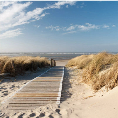 brown boardwalk through the dunes to the sea  Decoupage Napkins