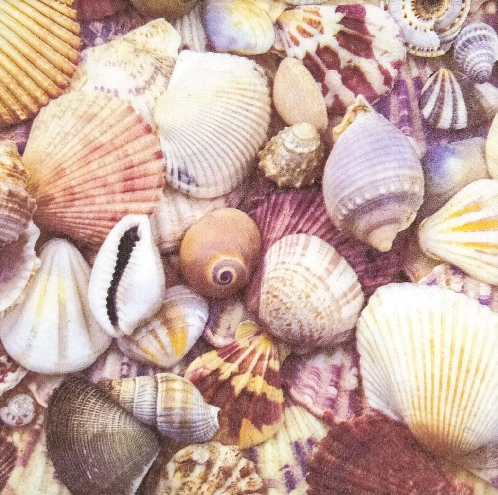 collection on seashells  Decoupage Napkins