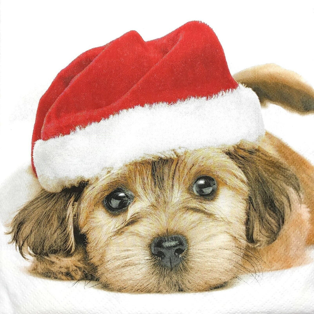 Brown dog face wearing red Santa hat. European Decoupage Craft Paper Napkins.