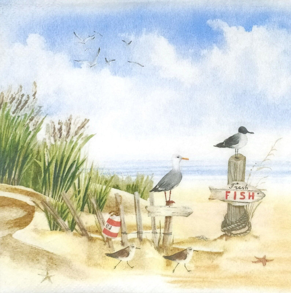Four seagulls on wood signs near beach and sand dunes. European Decoupage Craft Paper Napkins.
