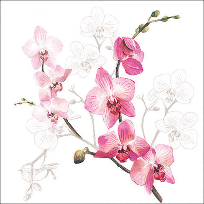 Red and white orchid blossoms Decoupage Napkins